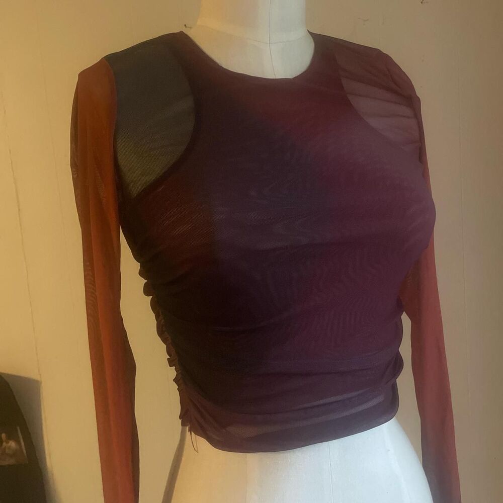Zara Ombre Mesh Crop Top
